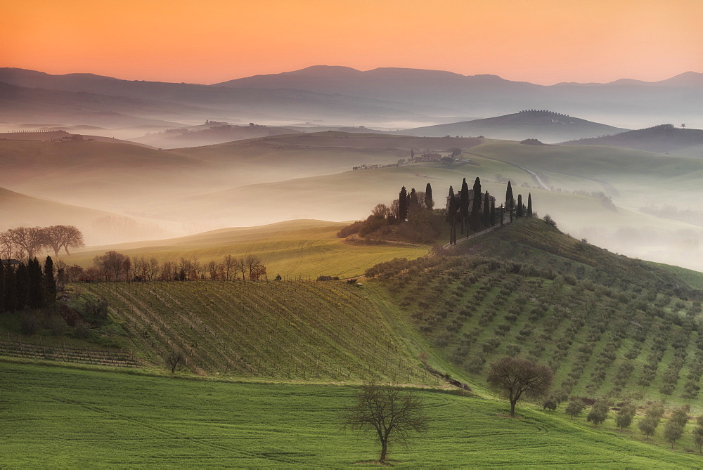 Podere Belvedere, San Quirico d'Orcia, Val d'Orcia, Tuscany, Italy, Europe