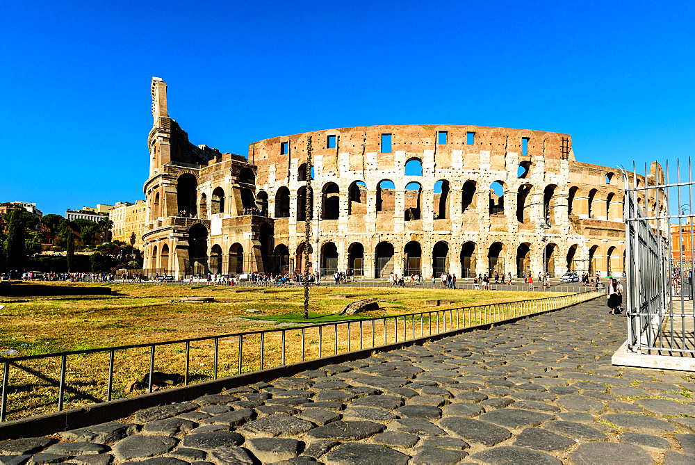 Colosseum or Coliseum, also known as the Flavian Amphitheatre, Roman Forum, UNESCO World Heritage Site, Rome, Lazio, Italy, Europe