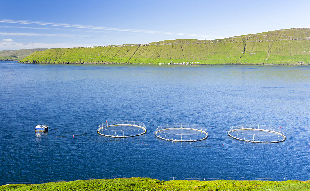 Hestfjordur with fish farms,  Hestur in the background. The island Streymoy, one of the two large islands of the Faroe Islands  in the North Atlantic.  Europe, Northern Europe, Denmark, Faroe Islands