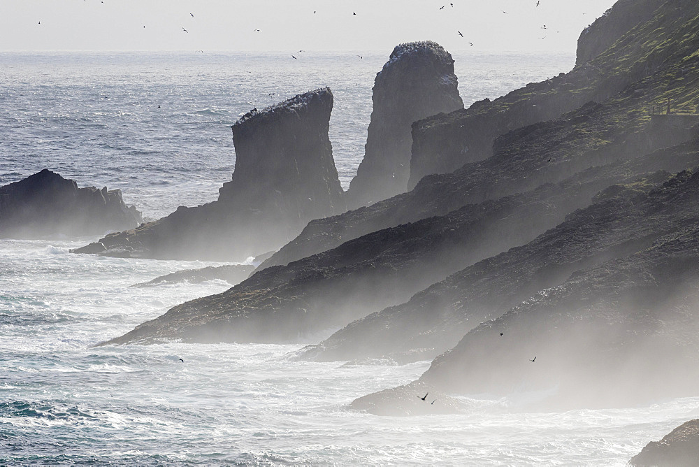 Breakers and spray , the cliffs of Mykinesholmur. The island Mykines, part of the Faroe Islands in the North Atlantic, Denmark, Northern Europe