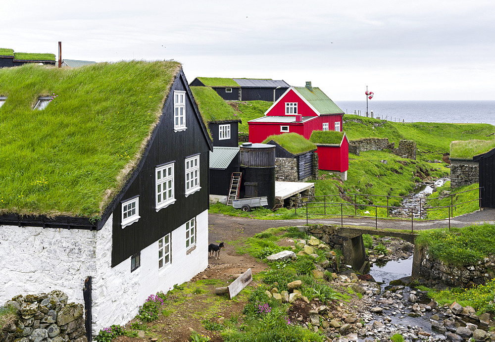 The village on the island Mykines, part of the Faroe Islands in the North Atlantic, Denmark, Northern Europe