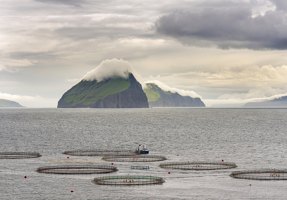 Salmon cages in the Vagafjordur, teh islands  Streymoy, Koltur, Hestur and Sandoy in the background.   The island Vagar, part of the Faroe Islands in the North Atlantic.  Europe, Northern Europe, Denmark, Faroe Islands