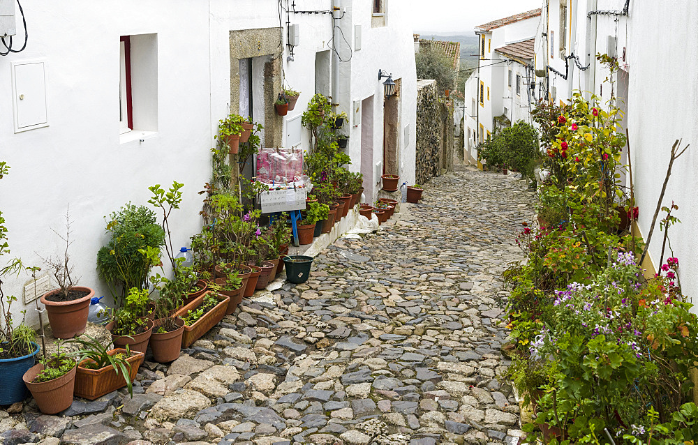 The fomer jewish quarter in Castelo de Vide.  Europe, Southern Europe, Portugal, Alentejo