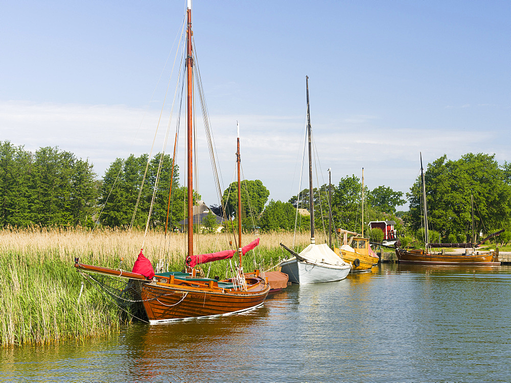 The old Harbour in Wieck at the  Bodstedter Bodden close to the Western Pomerania Lagoon Area NP. Europe, Germany, West-Pomerania, June