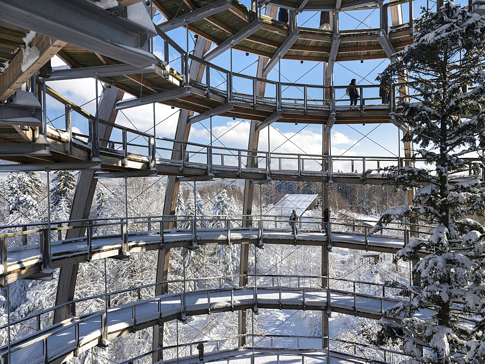 Look out of the Canopy Walkway of the visitor center of the National Park Bavarian Forest (Bayerischer Wald) in Neuschoenau in the deep of winter.    Europe, Germany, Bavaria, January