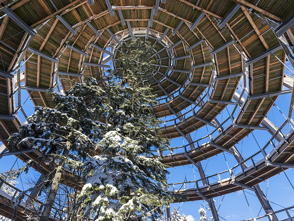 Look out of the Canopy Walkway of the visitor center of the National Park Bavarian Forest (Bayerischer Wald) in Neuschoenau in the deep of winter.    Europe, Germany, Bavaria, January