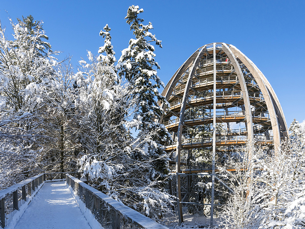 Look out of the Canopy Walkway of the visitor center of the National Park Bavarian Forest (Bayerischer Wald) in Neuschoenau in the deep of winter.    Europe, Germany, Bavaria, January