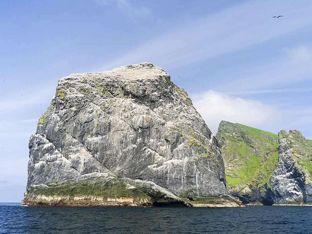 The islands of St Kilda archipelago in Scotland. Island of Boreray and Stac Lee  having the largest northern gannet (morus bassanus) colonies worldwide. It is one of the few places worldwide to hold joint UNESCO world heritage status for its natural and cultural qualities. Europe, Scotland, St. Kilda, July