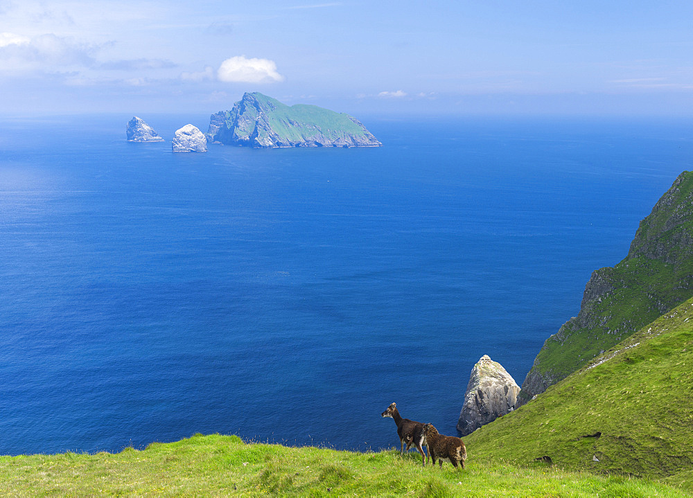 The islands of St Kilda archipelago in Scotland. The island of Hirta, view of Boreray and Stac Lee and Stac Armin. It is one of the few places worldwide to hold joint UNESCO world heritage status for its natural and cultural qualities. Europe, Scotland, St. Kilda, July