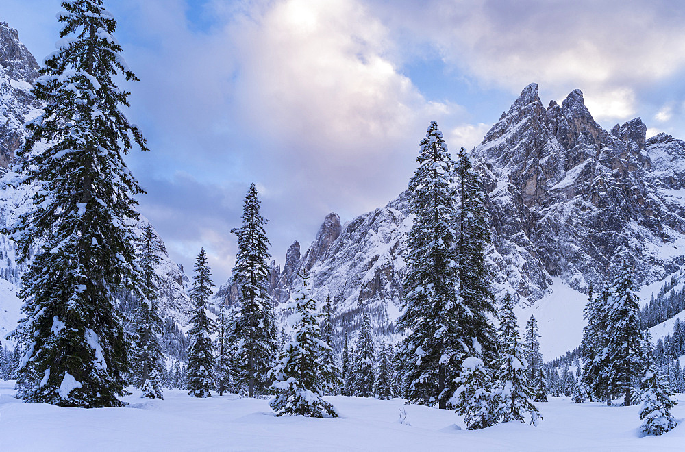 Valley Fischleintal  (Val Fiscalina)  in the nature park sexten dolomites in deep winter, part of the UNESCO world heritage dolomites. Mount Einserkofel.  Europe, Central Europe, Italy, January