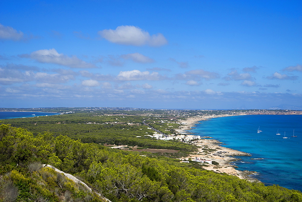 El Camí de Sa Pujada; Cami Romà, View from the path of the Roman path, Formentera, Balearic Islands, Spain