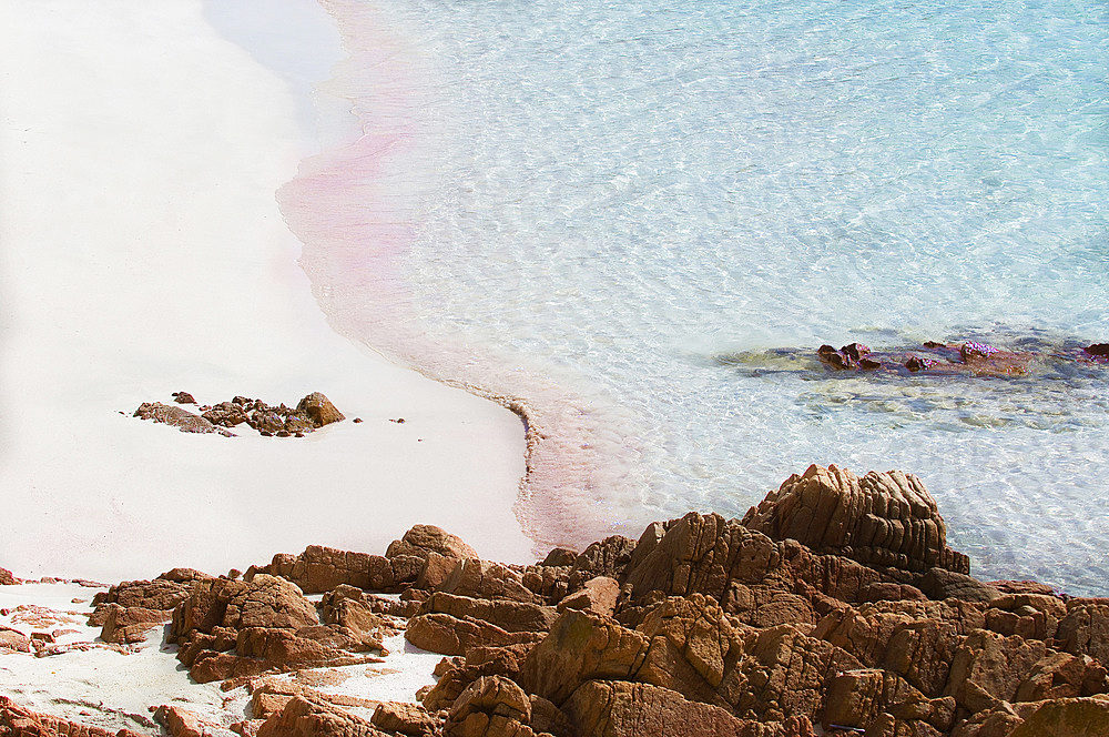 Pink Beach (Spiaggia Rosa or Cala di Roto), Island of Budelli; La Maddalena Archipelago, Bocche di Bonifacio, Sardinia, Italy, Europe