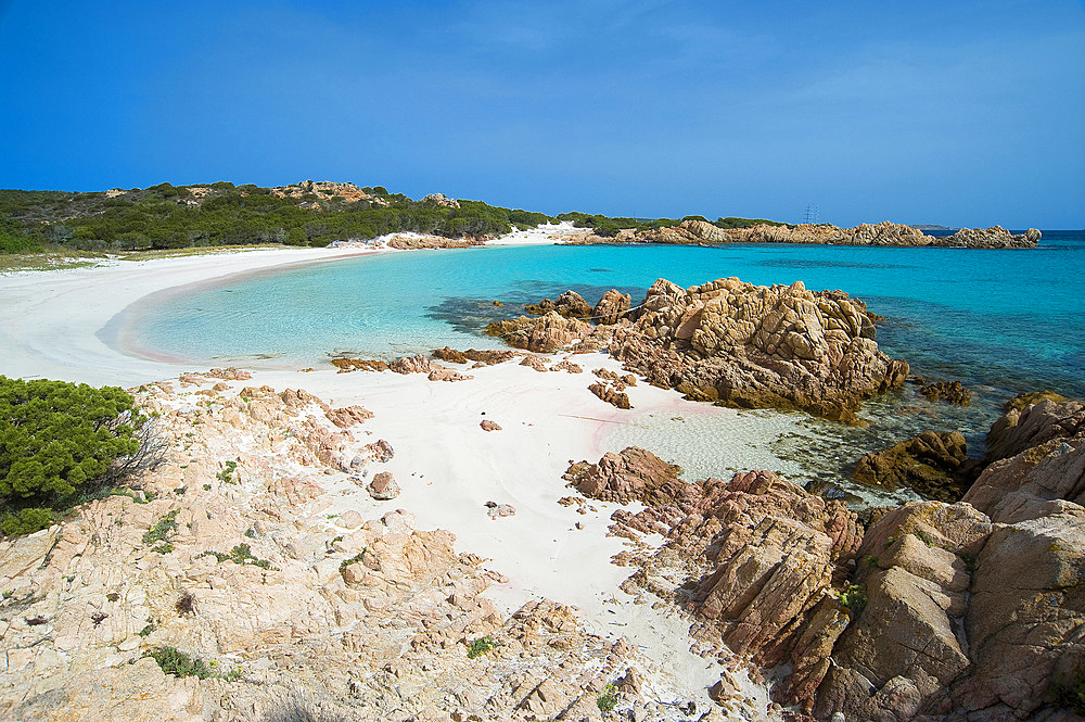 Pink Beach, Spiaggia Rosa or Cala di Roto, Island of Budelli; La Maddalena Archipelago, Bocche di Bonifacio, Sardinia, Italy, Europe