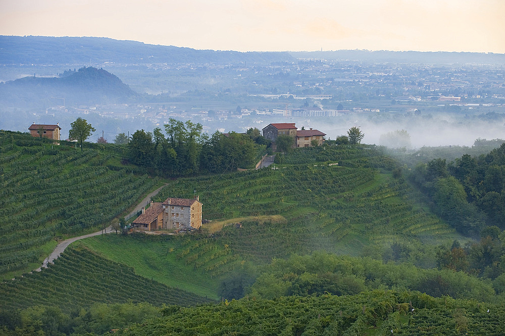 Vineyards and white wine road, Valdobbiadene, Treviso, Italy, Europe