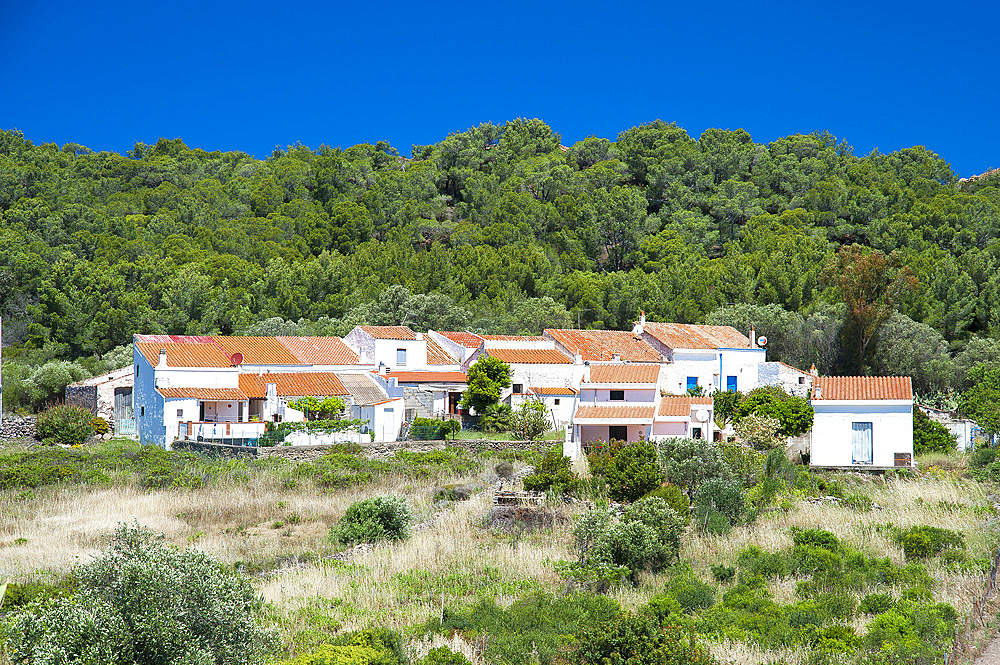 Becco, Carloforte, Island of San Pietro, Sardinia, Italy, Europe