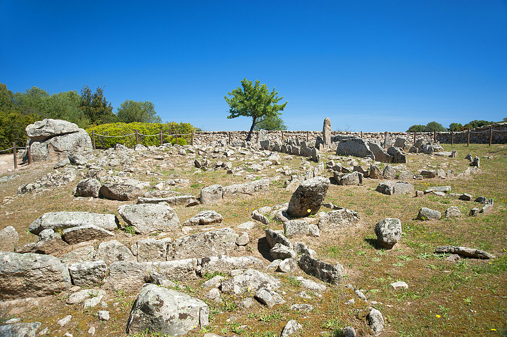 Necropoli Li Muri, Arzachena, Sardinia, Italy, Europe