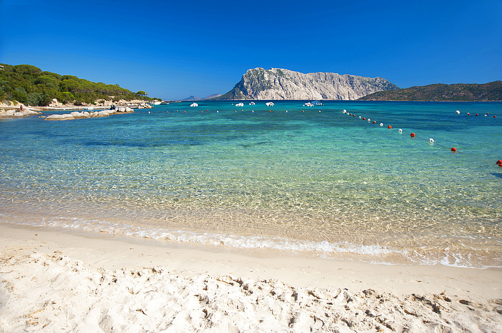 Cala Suarraccia, San Teodoro, on background Tavolara Island, Sardinia, Italy, Europe