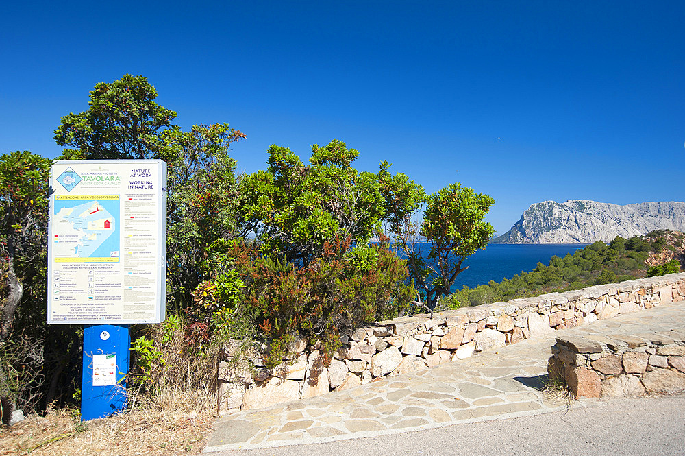 Capo Coda Cavallo, San Teodoro, on background Tavolara Island, Sardinia, Italy, Europe