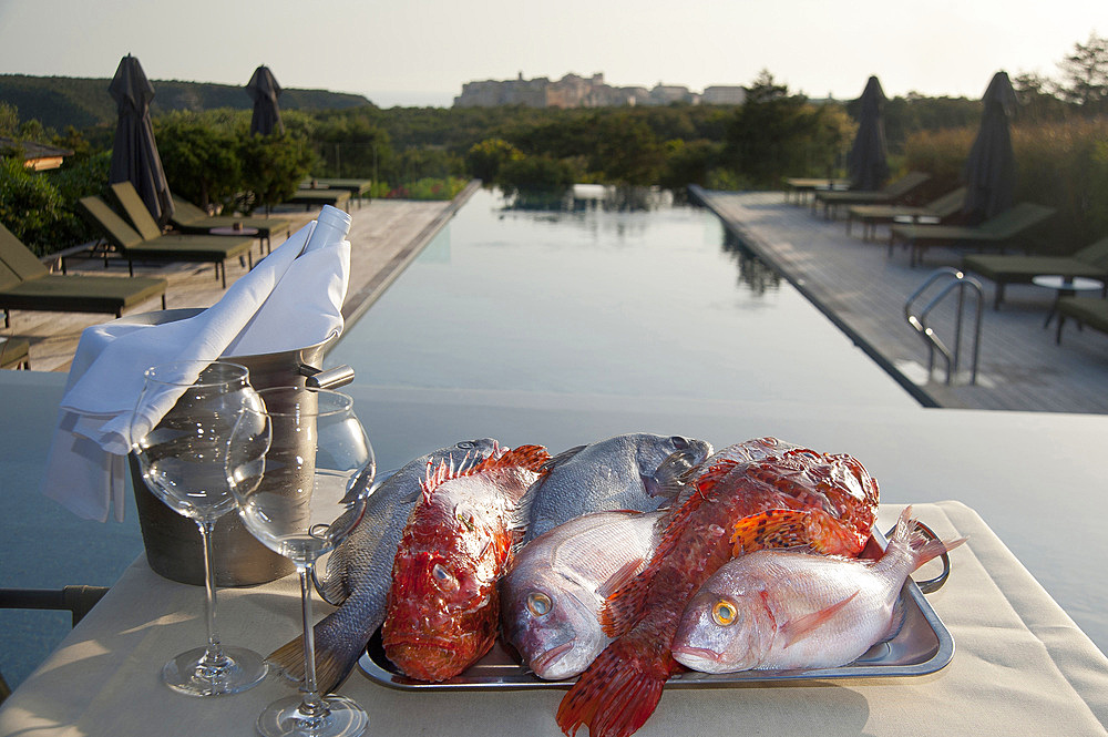 Fresh fish, Restaurant L'An Faim, Version Maquis, Bonifacio, South Corsica, France, Europe