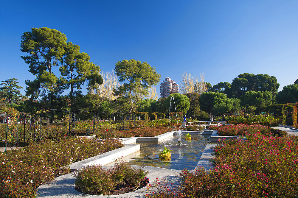 Rose Garden, Parco del Buen Retiro, Madrid, Spain, Europe