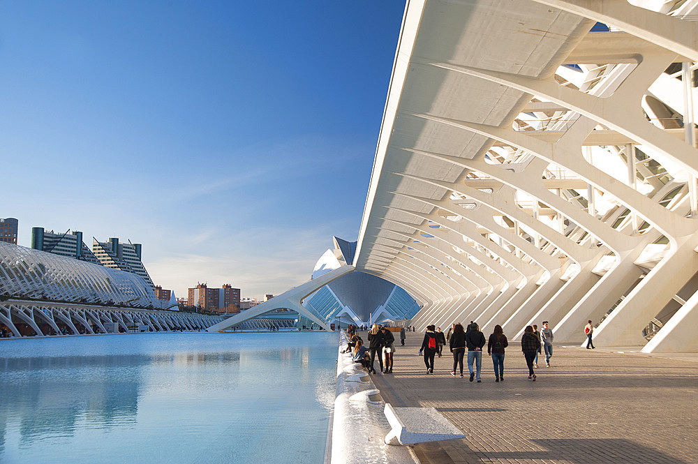 LUmbracle, Museu de les Ciences Principe Felipe, Ciutat de les Arts i les Ciències, Valencia, Spain, Europe