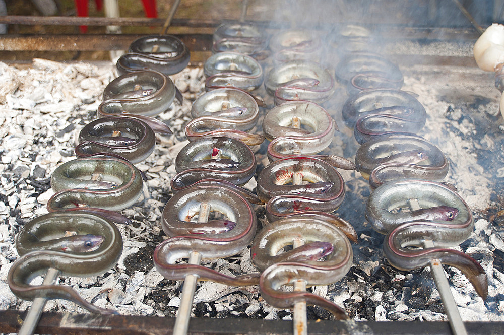 Eels on the spit, typical Sardinia recipe, Campidano, Sardinia, Italy, Europe