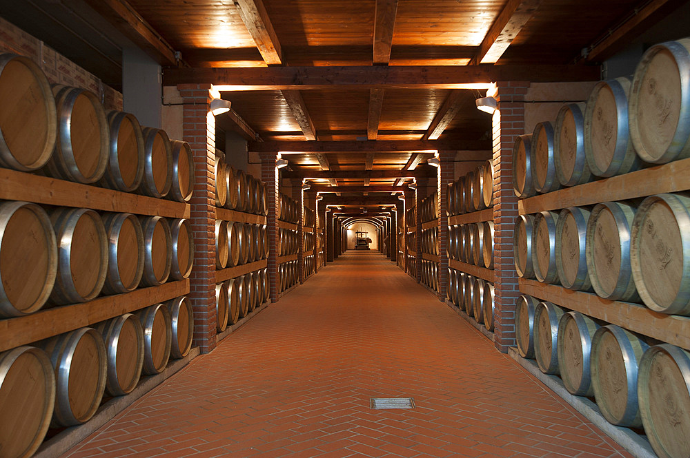 Cantina di Santadi, Sardinia, Italy, Europe