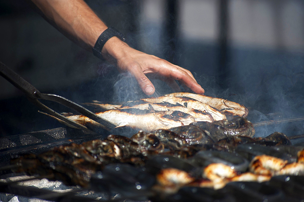 Mullet grilled, Feast of Santa Vitalia, Serrenti, Sardinia, Italy, Europe