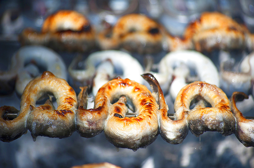 Eels on a spit, Feast of Santa Vitalia, Serrenti, Sardinia, Italy, Europe