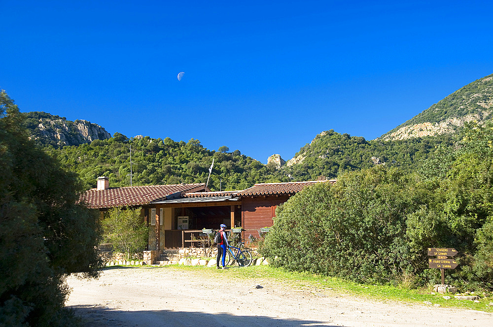 Oasis WWF Monte Arcosu. The Monte Arcosu - Piscinamanna forest complex is the largest Mediterranean Maquis forest in the entire Mediterranean basin. Sardinia, Italy, Europe