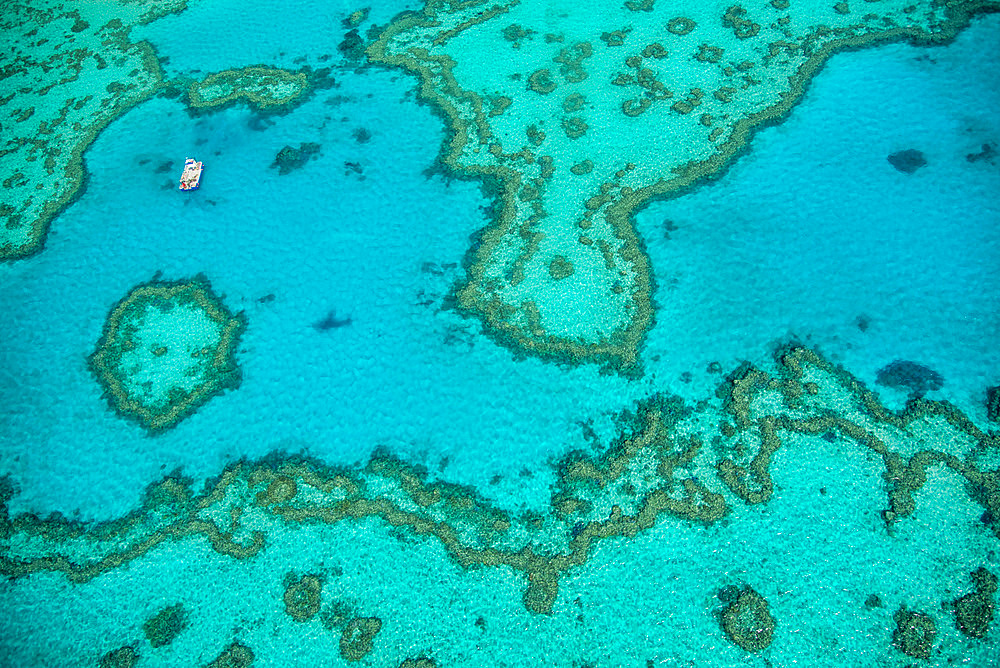 Natural Great Barrier Reef in Queensland. Aerial view of nature paradise with magnificent colors.