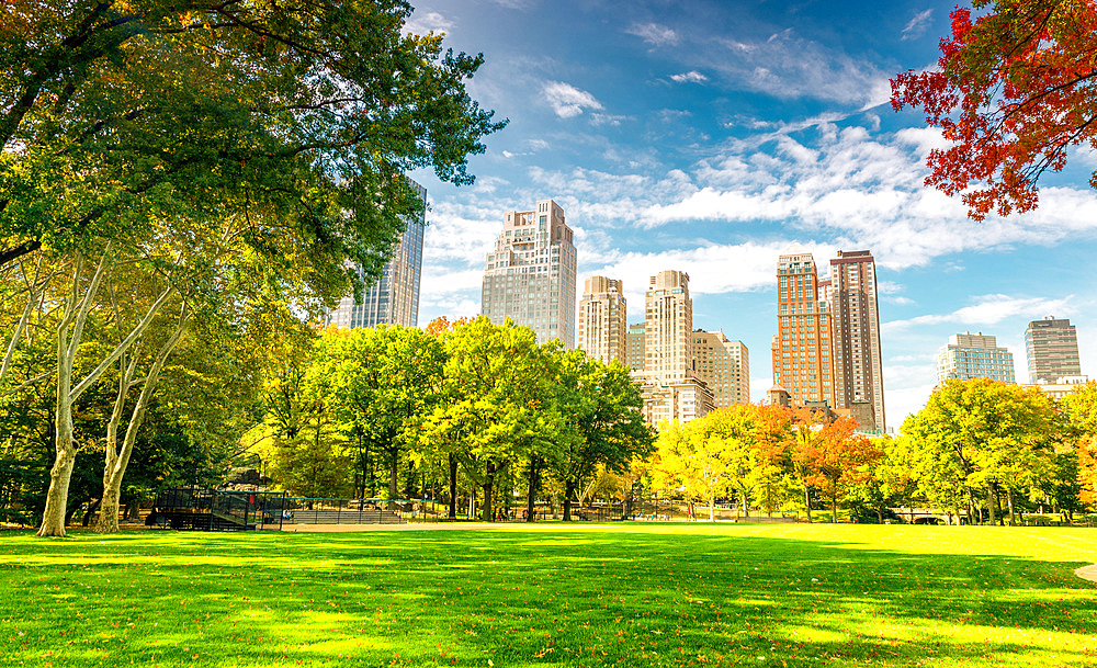 Beautiful foliage colors of New York Central Park.