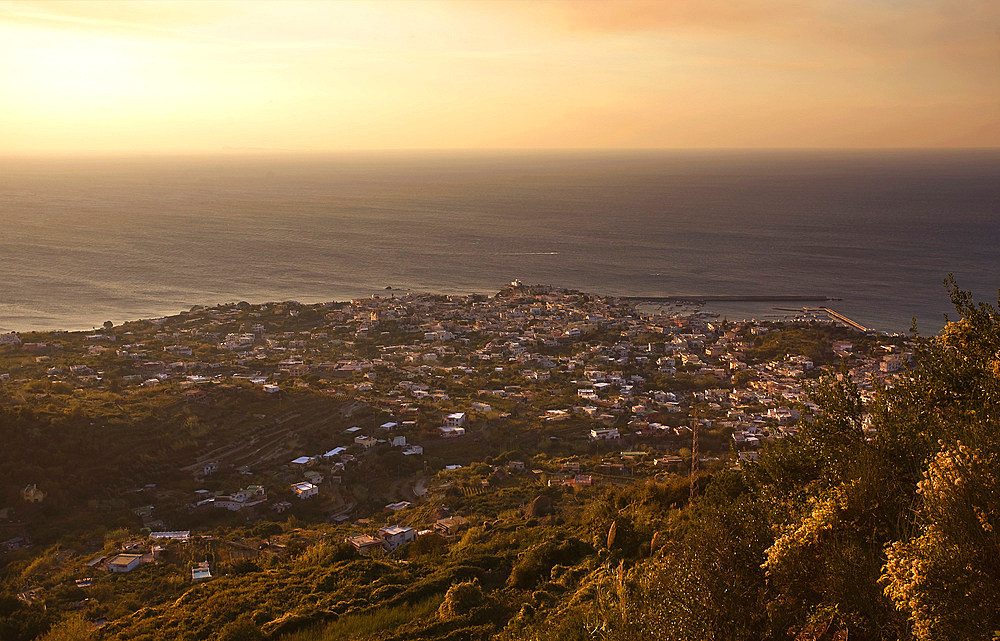 Forio d'Ischia, Ischia island, Naples, Campania, Italy, Europe.