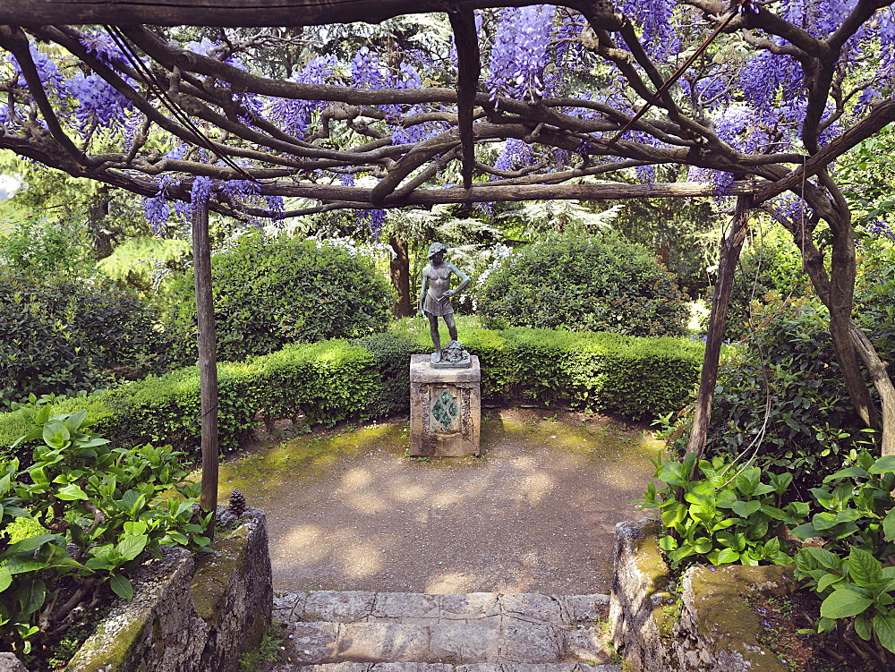 A large pergola of Wisteria Sinensis colors Viale dell'Immenso where we can admire the bronze statue of David, produced by the Neapolitan sculptor Gioacchino Varlese, Villa Cimbrone, Ravello, Amalfi Coast, Campania, Italy, Europe