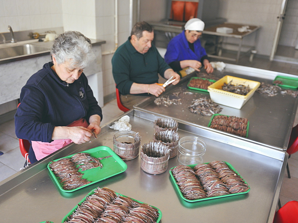 Preparation of anchovy sauce called Colatura di alici, a fish sauce for pasta typical of Cetara village, Amalfi Coast, Campania, Italy, Europe