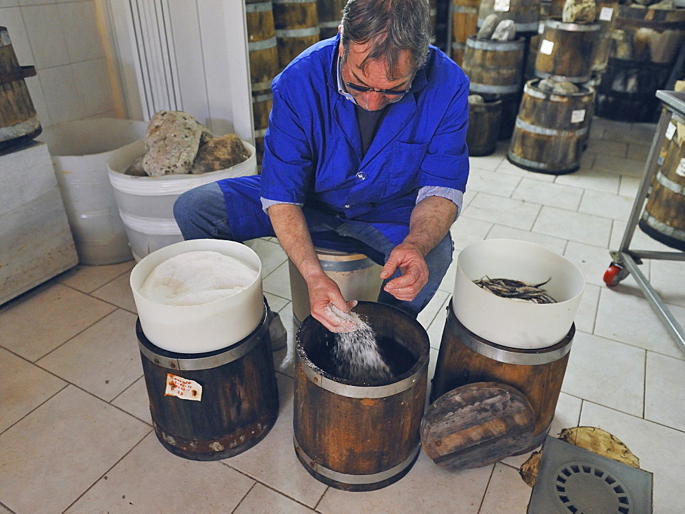 Preparation of anchovy sauce called Colatura di alici, a fish sauce for pasta typical of Cetara village, Amalfi Coast, Campania, Italy, Europe