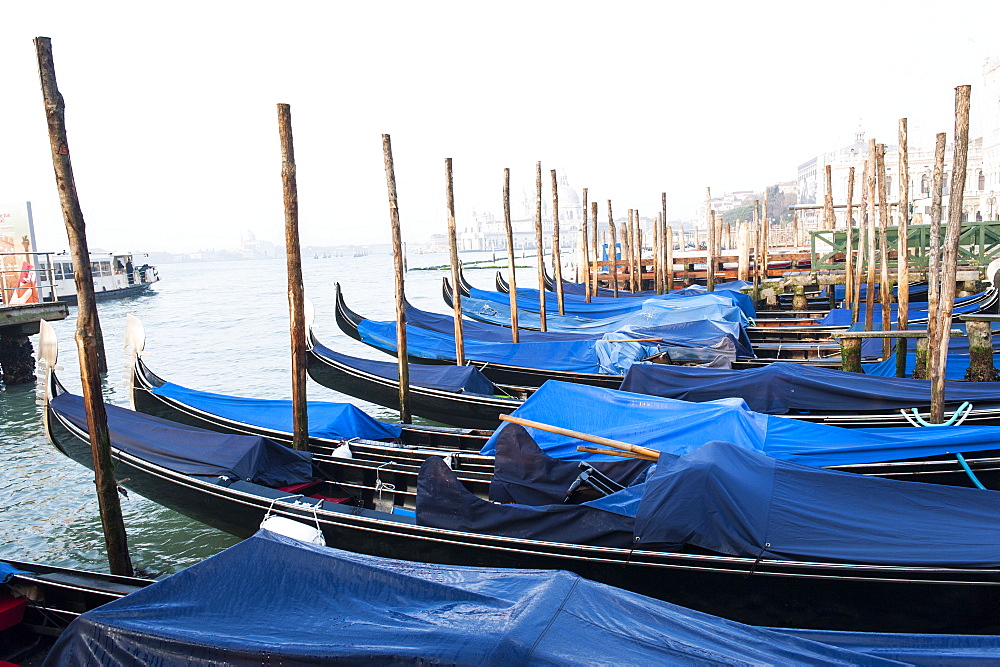 Gondolas near Piazza San Marco in Venice. Venezia, Italy.