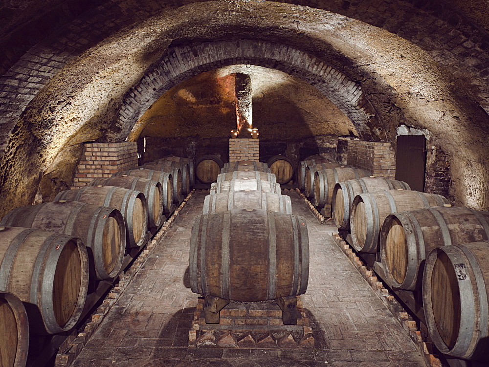 Ancient wine cellars located inside tufa caves. It is one of the cellars owned by the winery "Cantine del Notaio", one of the most important wine producers in southern Italy, Rionero in Vulture, Basilicata, Italy, Europe