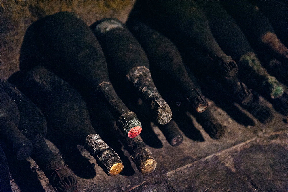 Ancient wine bottles photographed in the cellars of the winery "Carbone" in Melfi, Basilicata, Italy, Europe