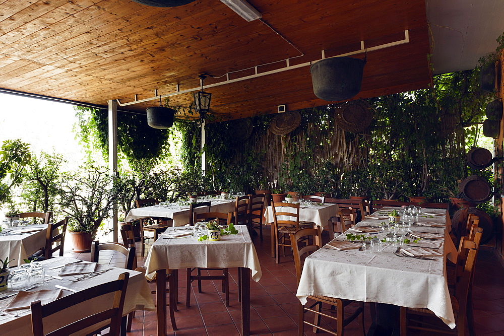 Fresh organics figs, Il Giardino Di Epicuro restaurant, the epicurean garden, Maratea, Basilicata, Italy, Europe