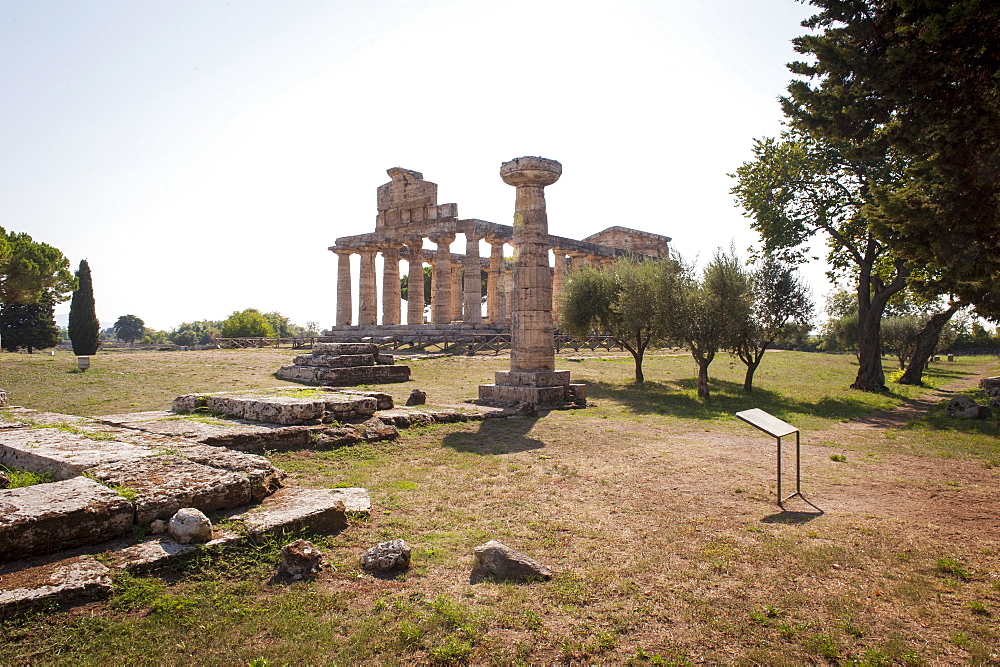 Temple of Athena, Paestum archeological area, UNESCO, World Heritage Site, province of Salerno, Campania, Italy, Europe