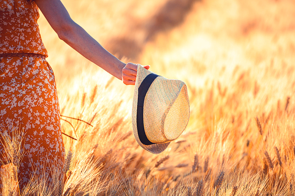 Beautiful girl in a wheat field. Natural sunlight during sunset, Italy, Europe