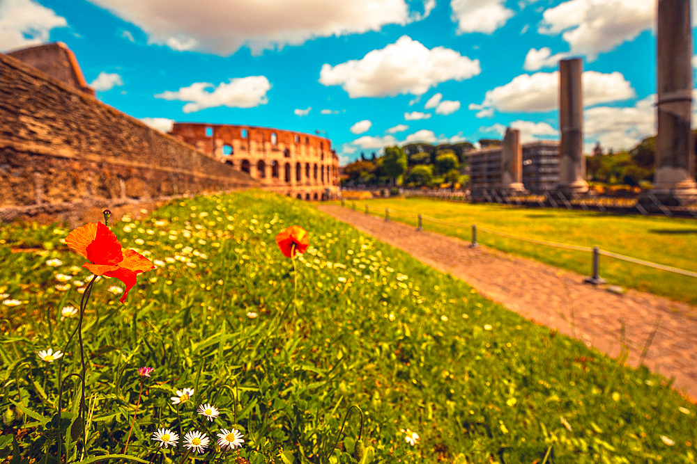 Roman gardens upon the Palatine Hill with beautiful view on Coliseum in background, Rome, Italy, Europe