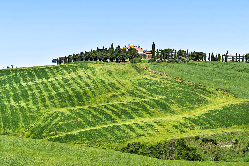 Countryside landscape of the Val d'Orcia, Agricultural Estate, San Quirico díOrcia, UNESCO, World Heritage Site, Tuscany, Italy, Europe