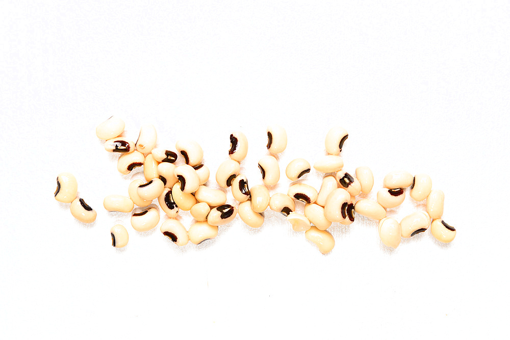 The cowpea is the only native bean of the Old World, in fact it is native to Africa and Asia