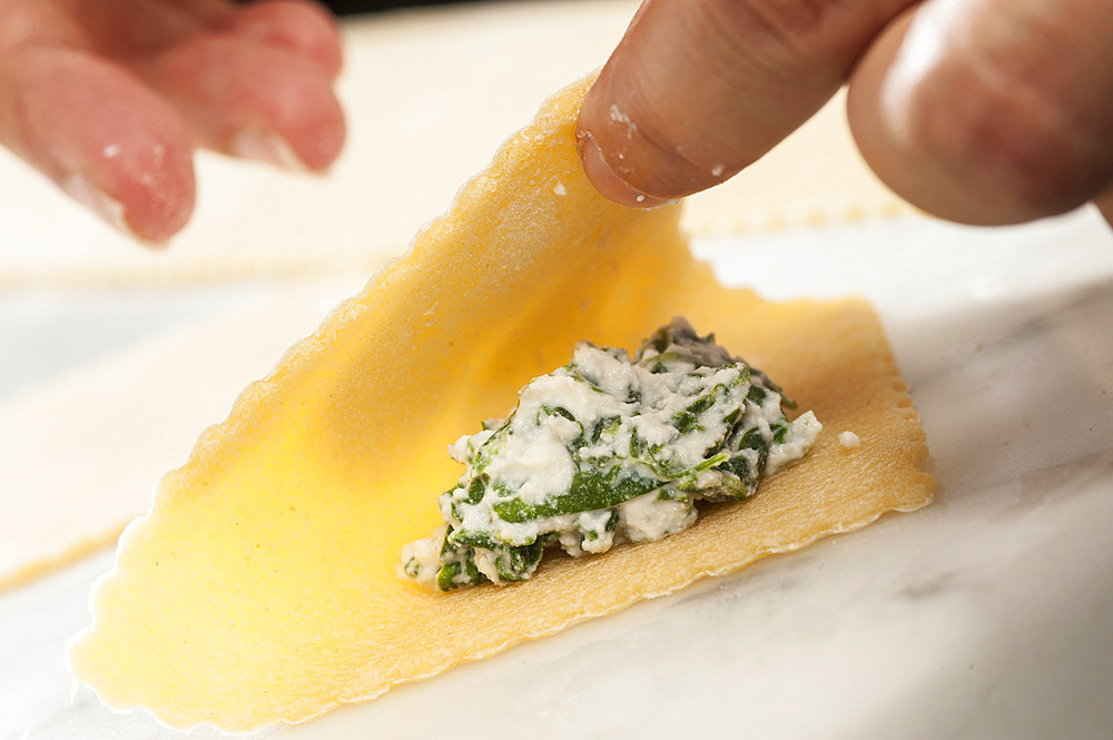 Working with fresh handmade pasta Pansoti, typical of Liguria. Italy