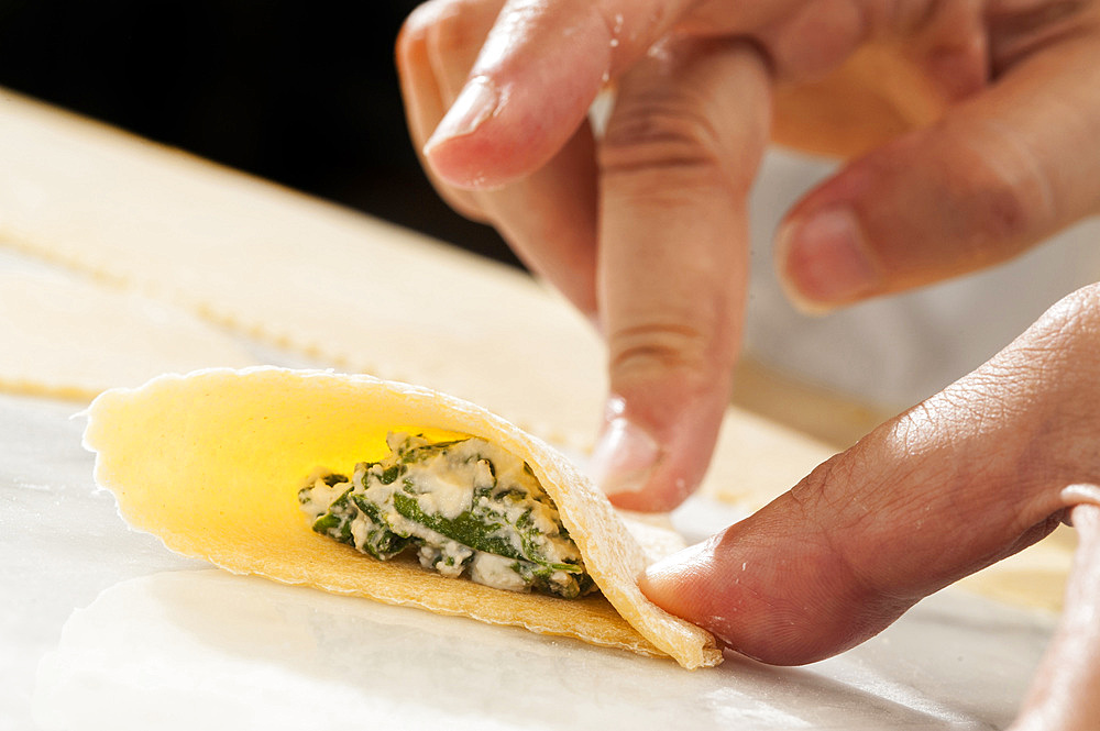 Working with fresh handmade pasta Pansoti, typical of Liguria. Italy