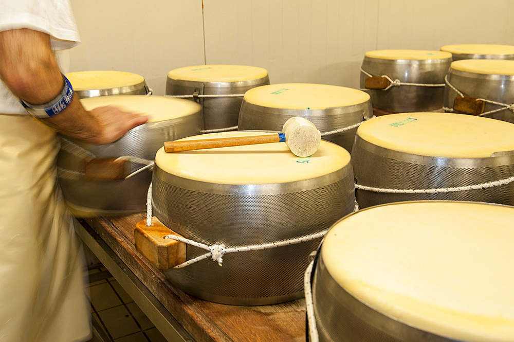 Production of Parmigiano Reggiano cheese at the Caseificio Sociale Castellazzo, Campagnola Emilia, Modena, Emilia Romagna, Europe, Italy