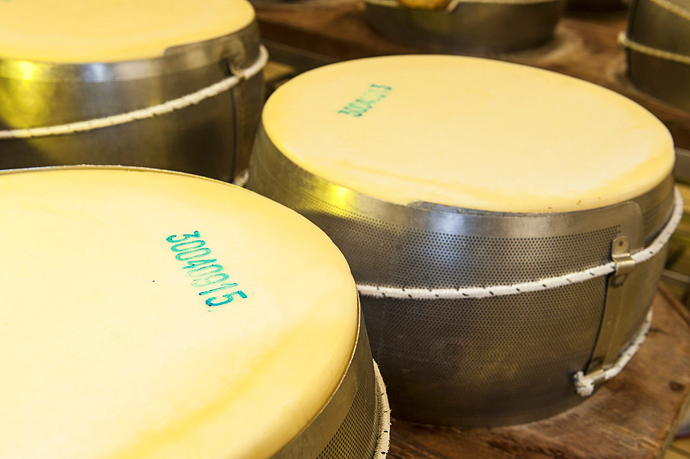 Production of Parmigiano Reggiano cheese at the Caseificio Sociale Castellazzo, Campagnola Emilia, Modena, Emilia Romagna, Europe, Italy