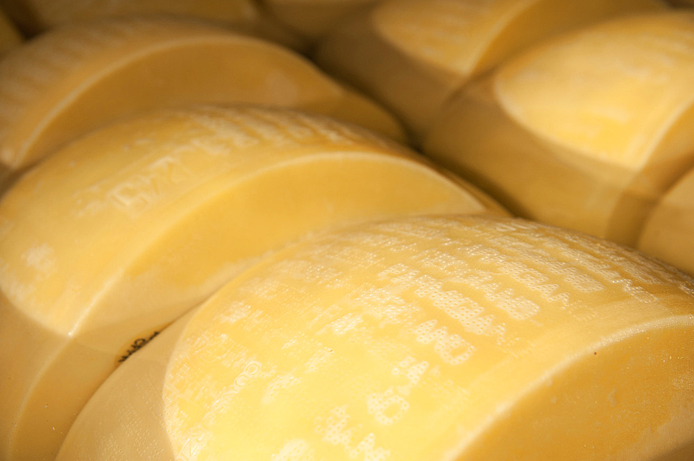 Production of Parmigiano Reggiano cheese at the Caseificio Sociale Castellazzo, Campagnola Emilia, Modena, Emilia Romagna, Europe, Italy